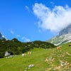 images/thumbsgallery/DSC_0291.jpg