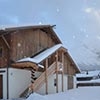 Haus Almfriede und Leutasch – Impression 7